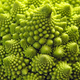 Illustration for article titled Incredible Photographs of Fractals Found in the Natural World